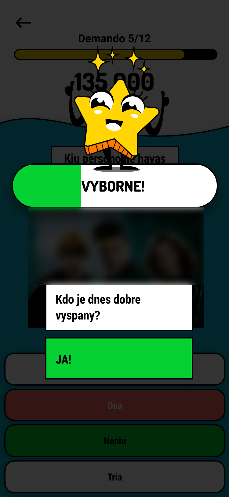 LINGVAKVÍZ SCREENSHOT 2